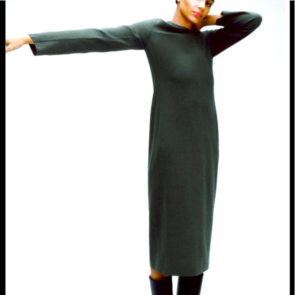 Zara wool blend dress limited edition